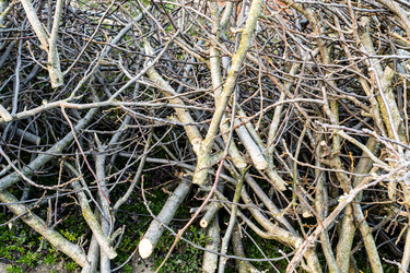 Similar image 21423707