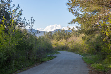 Similar image 21424828