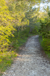 Similar image 21424831