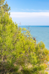 Similar image 21424833