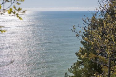 Similar image 21424835