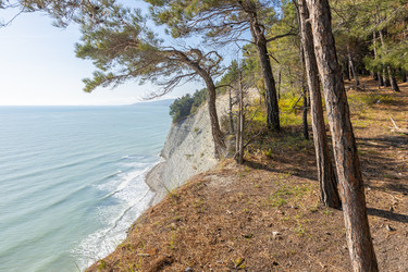 Similar image 21424836