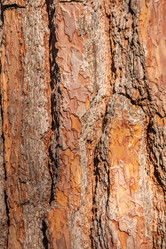 Similar image 21424839