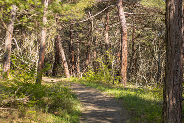 Similar image 21424840