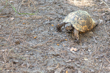 Similar image 21424841