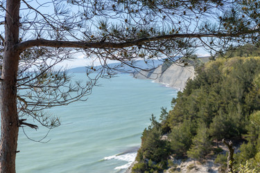 Similar image 21424843