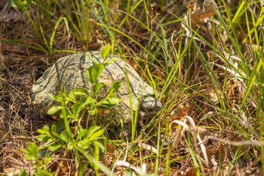 Similar image 21424844