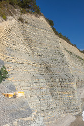 Similar image 21424845