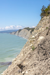 Similar image 21424848