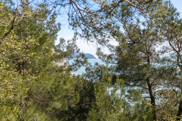 Similar image 21424849