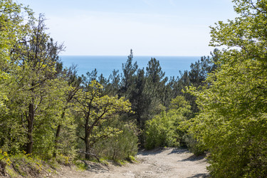 Similar image 21424850