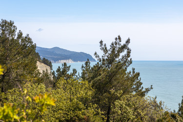 Similar image 21424851