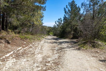 Similar image 21424852