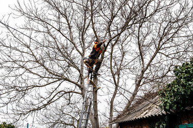 Similar image 21423713