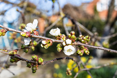 Similar image 21423721