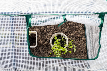 Similar image 21423729