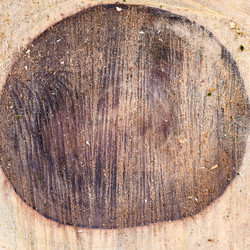 Similar image 21423732