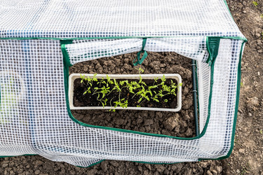 Similar image 21423733