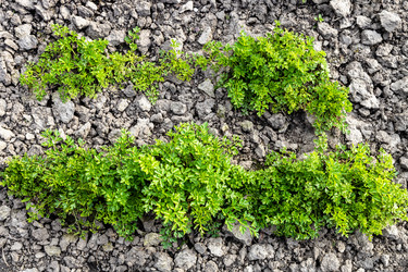 Similar image 21423735