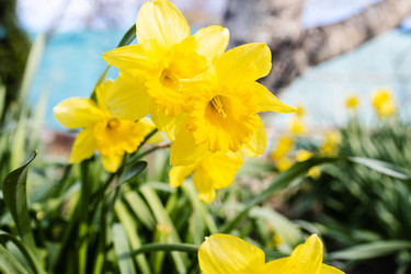 Similar image 21423737