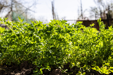 Similar image 21423739