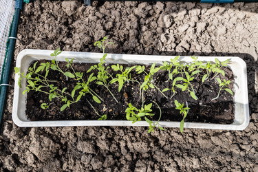 Similar image 21423741