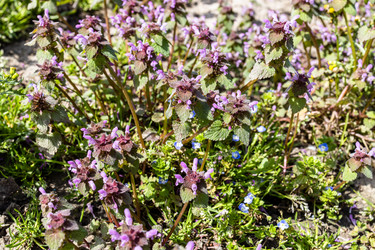 Similar image 21423743