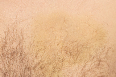 Similar image 21424856