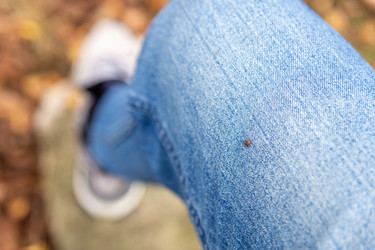 Similar image 21424859