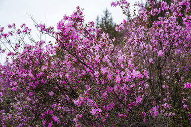 Similar image 21425831