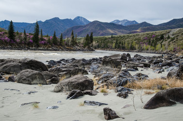 Similar image 21425832