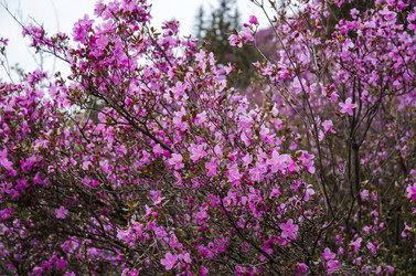 Similar image 21425833