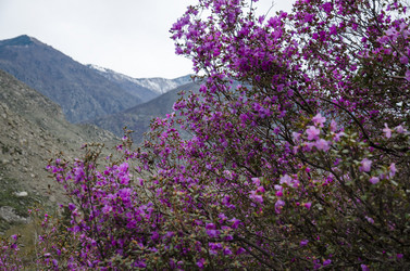 Similar image 21425835