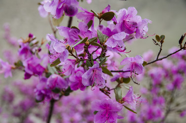 Similar image 21425836