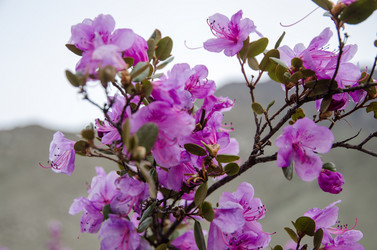 Similar image 21425837