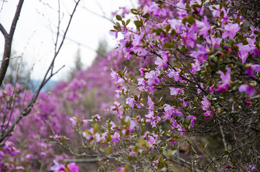 Similar image 21425839