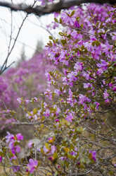 Similar image 21425840