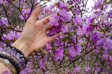 Similar image 21425841