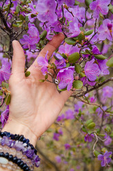 Similar image 21425842