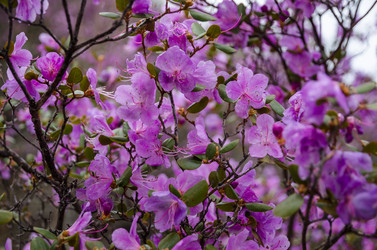 Similar image 21425843