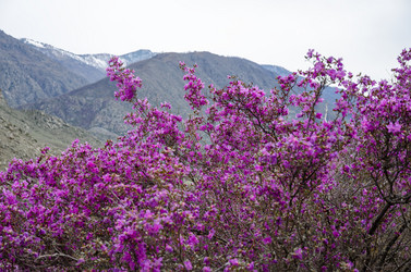 Similar image 21425844