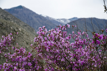 Similar image 21425845