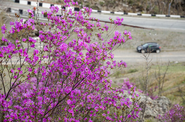 Similar image 21425846