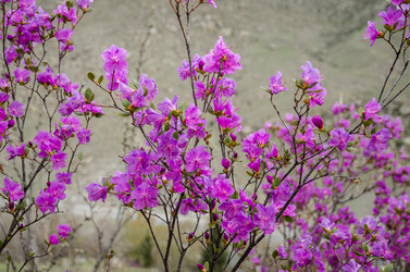 Similar image 21425848