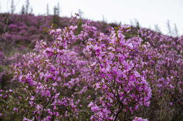 Similar image 21425849