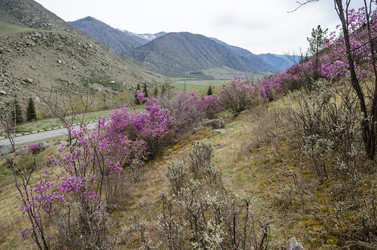 Similar image 21425850