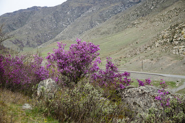 Similar image 21425851