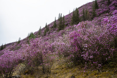 Similar image 21425852