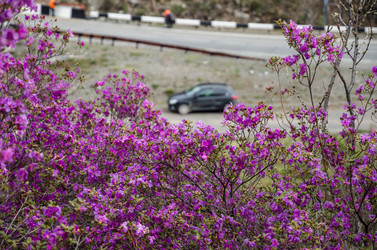 Similar image 21425853