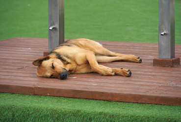 Similar image 21424876